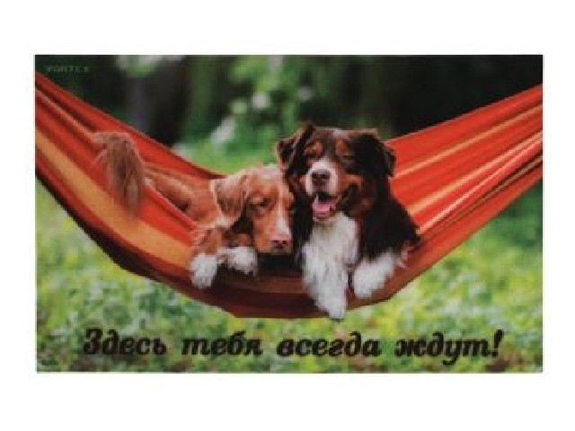 Коврик влаговпитывающий Samba 50*80 см Собаки в гамаке VORTEX 24217